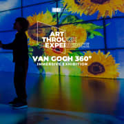 Van Gogh 360°