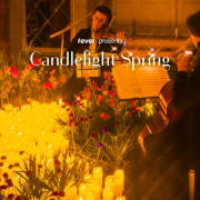 Candlelight Spring: Ed Sheeran meets Coldplay