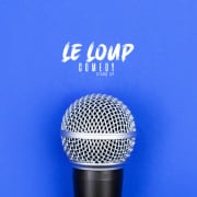 ﻿Le Loup Comedy République: A hilarious stand-up show!