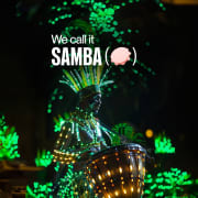 We call it Samba: A Dazzling Dance & Light Show