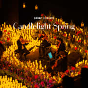 ﻿Candlelight Spring: Vivaldi's 4 seasons