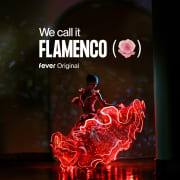 We call it Flamenco: A Dazzling Dance & Light Show