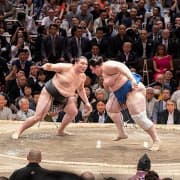 東京で大相撲観戦体験