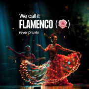 We call it Flamenco: A Dazzling Dance & Light Show