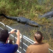 ﻿Excursión en hidrodeslizador por los Everglades de Florida Central desde Orlando