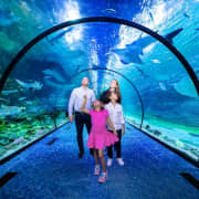 Combo: The National Aquarium Abu Dhabi & The Pixoul Gaming.