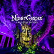 NightGarden: Una Experiencia Mágica de Luz