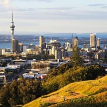 Social drinks (Mt Eden) - Auckland Property Investors Association