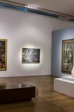 Museo MALBA y tour a pie