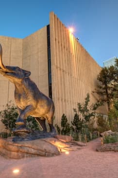 Denver Museum of Nature & Science: Entry Ticket