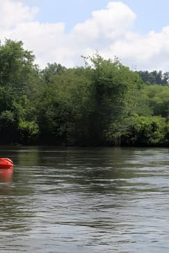Beautiful Self Guided Kayaking by the Biltmore
