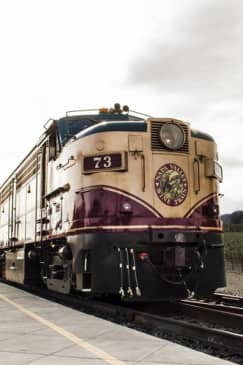 Napa Valley Wine Train: Gourmet Express Lunch or Dinner