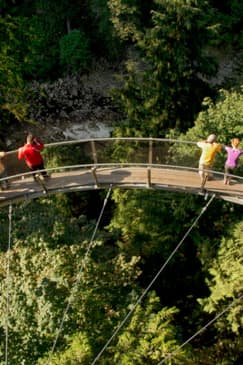 Capilano Suspension Bridge Park: Walk the treetops of the rainforest