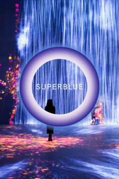 Superblue Miami: Experiencias de Arte Inmersivo