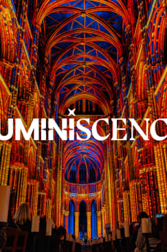 LUMINISCENCE : Plongez dans les secrets d'un monument emblématique de l’histoire de Reims