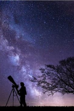 Night Sky Stargazing Tour in Punta Gorda Florida