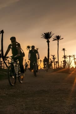 Excursion à vélo hors route de la Palmeraie au départ de Marrakech