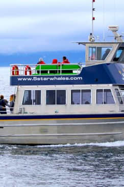 Whale Watching Cruise with Expert Naturalists