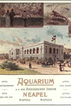 ﻿Naples Aquarium: Entrance ticket