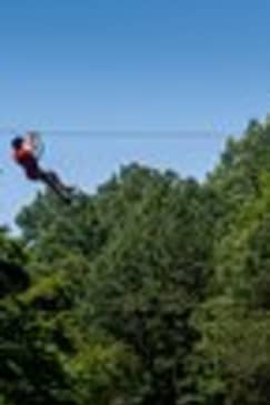 Ziplining and Climbing at The Adventure Park at Virginia Aquarium