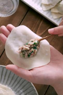 Asian Dumplings: Philadelphia
