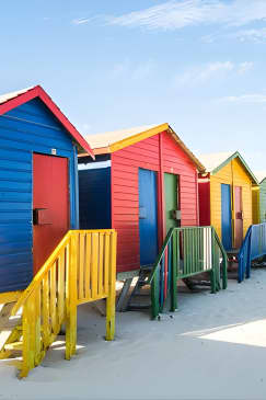 The Road Trip (Cape Point and Penguins)