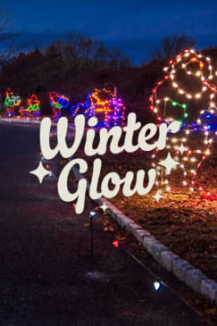 Winter Glow Experience: A Drive-Thru Holiday Light Show