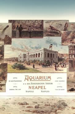 Acquario di Napoli: Entrada