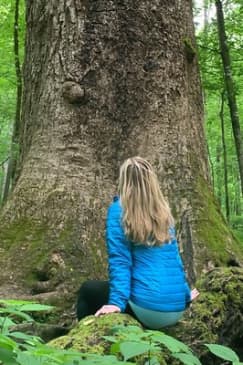 Forest Bathing & Nature Therapy Walk