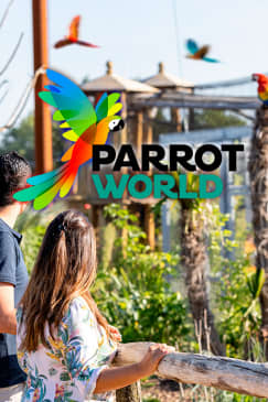 Parrot World: Day Tickets