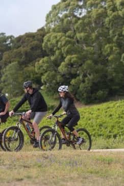 Hahndorf food and wine E-Bike Tour