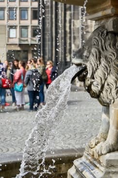 Dom- und Altstadtführung mit Kölsch