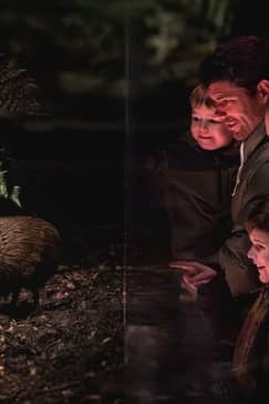Kiwi Park Queenstown Admission