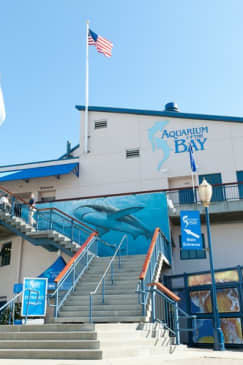 Aquarium of the Bay