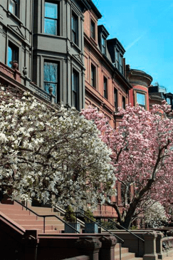 Back Bay & Downtown Boston Mystery Picnic: Self-Guided Foodie Adventure