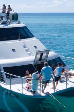 Ocean Freedom Great Barrier Reef Tour
