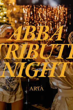 Abba Duo Tribute Night