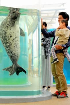 京都水族館: 入場券