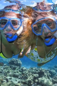 Outer Great Barrier Reef Full-Day Tour with Lunch