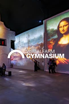 Visualfarm Gymnasium: Leonardo da Vinci