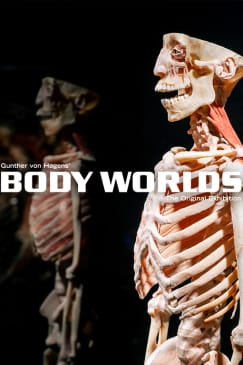 BODY WORLDS: The Anatomy of Happiness