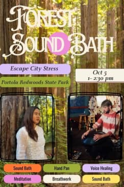 Escape City Stress: Forest Sound Bath & Self-Care Ritual
