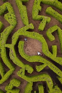 VanDusen Botanical Garden Admission Ticket