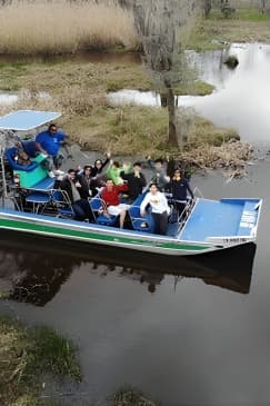 New Orleans Small-Group Airboat Swamp Tour