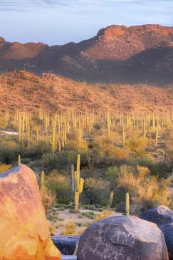 Saguaro National Park East E-Bike Tour