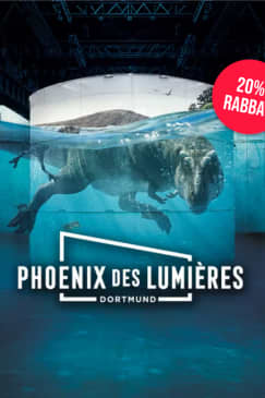 Phoenix des Lumières Combo-Ticket