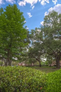Generals and Generalities Pub Crawl in Savannah