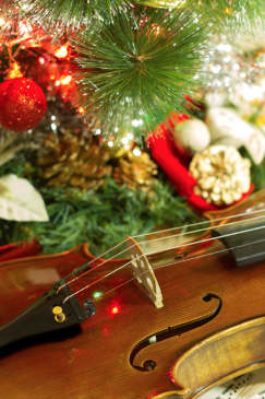 Vivaldi's Four Seasons at Christmas at St Mary's Redcliffe