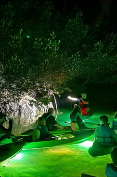 Sharkey's Glass Bottom Fish Feeding LED Night Tour in Sarasota