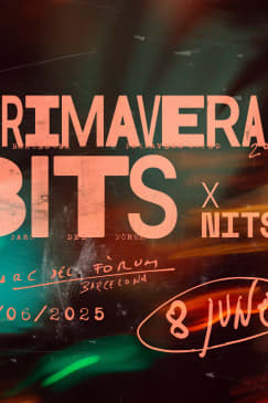 Primavera Bits x Nitsa 2025